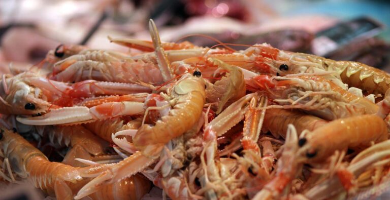 Export Potential of India’s Shrimps And Prawns